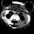CYGO Panda E 8D MUSIC