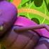 Grandma Bug Maya The Bee