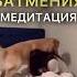 Подарок медитация на активацию вашей жизненной энергии Пишите кодовое слово ПОДАРОК