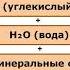 Роль бактерий в природе и жизни человека