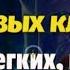 Стволовые клетки направленные на сердце печень легкие и поджелудочную железу