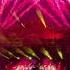 Rave Control Vs The Final Countdown Dimitri Vegas Like Mike Tomii Remix