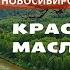 Путешествие по Новосибирской области Маслянинский район