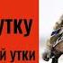 16 Как манить утку Охота с Фрэдом Зинком Звуки для северной утки Русская озвучка