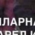 Танзила Усаева Хьо ву уллехь даимна