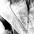 Jay Aliyev Move On Chillout MIX
