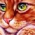 Я кот