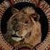 Metro Goldwyn Mayer 1991