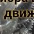 КПП Приора шумит на ходу а на нейтрали работает тихо