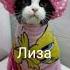 это ламба а это гелик