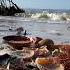 Post Hurricane Shelling Hurricane Helene Brought Surge And Shells To Fort Myers Beach