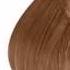 Schwarzkopf Igora Expert Mousse 7 65 Medium Blonde Chocolate Gold By Schwarzkopf Professional