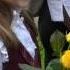Первоклассник 2013 год