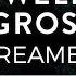 Axwell Λ Ingrosso Dreamer Lyric Video