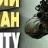 Самое быстрое прохождение Call Of Duty Modern Warfare Спидран в деталях