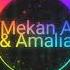 Amalia Ft Mekan A Humara Remix Dj Ovshar