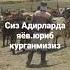 Адирларни яёв кезганда Бир ажиб хис бор эди менда