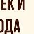 Человек и природа в сказке Кладовая солнца М Пришвина