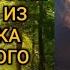 СКАЗ ВЕЛЕСА О ТОМ КАК ЗНАНИЯ ЗНАНИЯ ПОЛУЧАТЬ ИЗ ИСТОЧНИКА ВСЕЛЕНСКОГО ВАЛЕРИЯ КОЛЬЦОВА