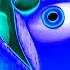 4ORMULATOR V5 Effect Gummy Bear Klasky Csupo Pinkfong SpongeBob Cocomelon Peppa Pig Video Edit