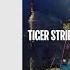 Tiger Stripes Your Love Drumcode