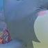 Baby Shark CoComelon Moonbug Kids Nursery Rhymes For Babies