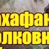 16 ВМ 250 Вахафакты 40к Полковник Стракен