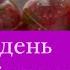 ОБЫЧНЫЙ ДЕНЬ ЧЕЧЕНСКОЙ СНОХИ СТРОЙКА ДВИЖЕТСЯ К ФИНЕШУ