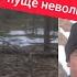 Ехать по лыжне без снега Легко