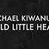 Michael Kiwanuka Cold Little Heart Radio Edit 432hz