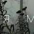 Mull3 Милая милая Минус