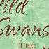 Wild Swans Three Daughters Of China