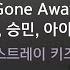 Gone Away 한 승민 아이엔 스트레이 키즈 KY 29488 KY KARAOKE