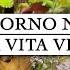 AUTUNNO A CASA MIA UN GIORNO NELLA MIA VITA VLOG