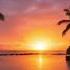 DreamScreenAI Caribbean Sun Set Music Dance Sunset Travel Beach Sun Sunrise