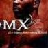 DMX I Can Feel It