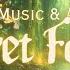 Secret Forest Whimsical Fantasy Music Ambience A Place From Enchanted Forest In The Fairy Land