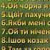 КРАЩІ ВЕСІЛЬНІ ПІСНІ ЗБІРКА УКРАЇНСЬКИХ ВЕСІЛЬНИХ ПІСЕНЬ