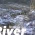 Small River Spring Chinook Salmon Fishing Can We Be The First Of The Year