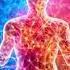 Happiness Frequency Serotonin Dopamine Endorphin Release Music Release Negativity