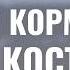 Как выбрать кошке хороший корм а не отбросы мясопроизводства