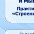 Клетки ткани органы и системы органов Тема 2 Ткани человека Нервная ткань