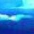 Enya Sail Away Orinoco Flow