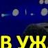 ПРОВАЛИВАЙ СО СЦЕНЫ ШАМАН БЫЛ В ШОКЕ КОГДА УЗНАЛ ЧТО СКАЗАЛ КИРКОРОВ ГНАТЬ ЕГО НАДО