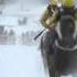 White Turf Of St Moritz Focus On The Gubelin Race