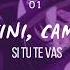 Si Tu Te Vas Tini Cami Slowed Reverb Intro