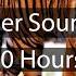 Tiger Sounds 10 Hours