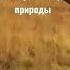 Расслабляющий музыка для медитации релакса анти стресс для организма и для ребёнка