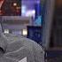 Gutfeld Kat S Back
