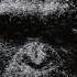 Really Slow Motion Giant Apes The Furies WAR FOR THE PLANET OF THE APES Trailer Music